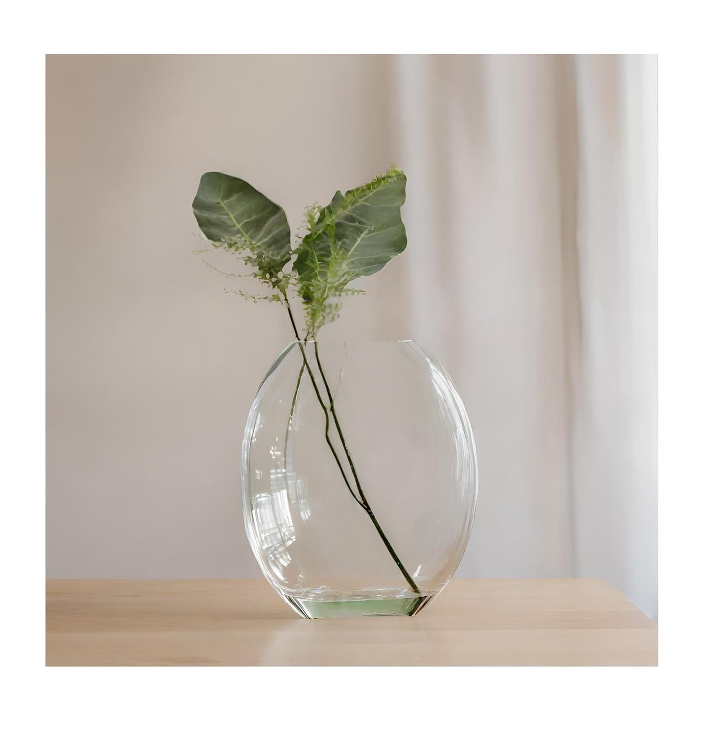 SPHINX Convex Shape Oval Shape Decorative Glass Vase for Flowers Live Plants Bamboo Money Plants Home Decor Office Living Room Table Decorations, Vases for home decor,Gift - (Height 8 Inches, 1 Piece)