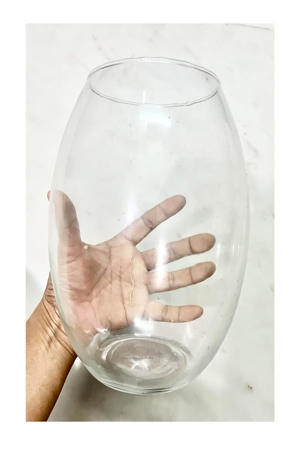 SPHINX Convex Shape Oval Shape Decorative Glass Vase for Flowers Live Plants Bamboo Money Plants Home Decor Office Living Room Table Decorations, Vases for home decor,Gift - (Height 8 Inches, 1 Piece)