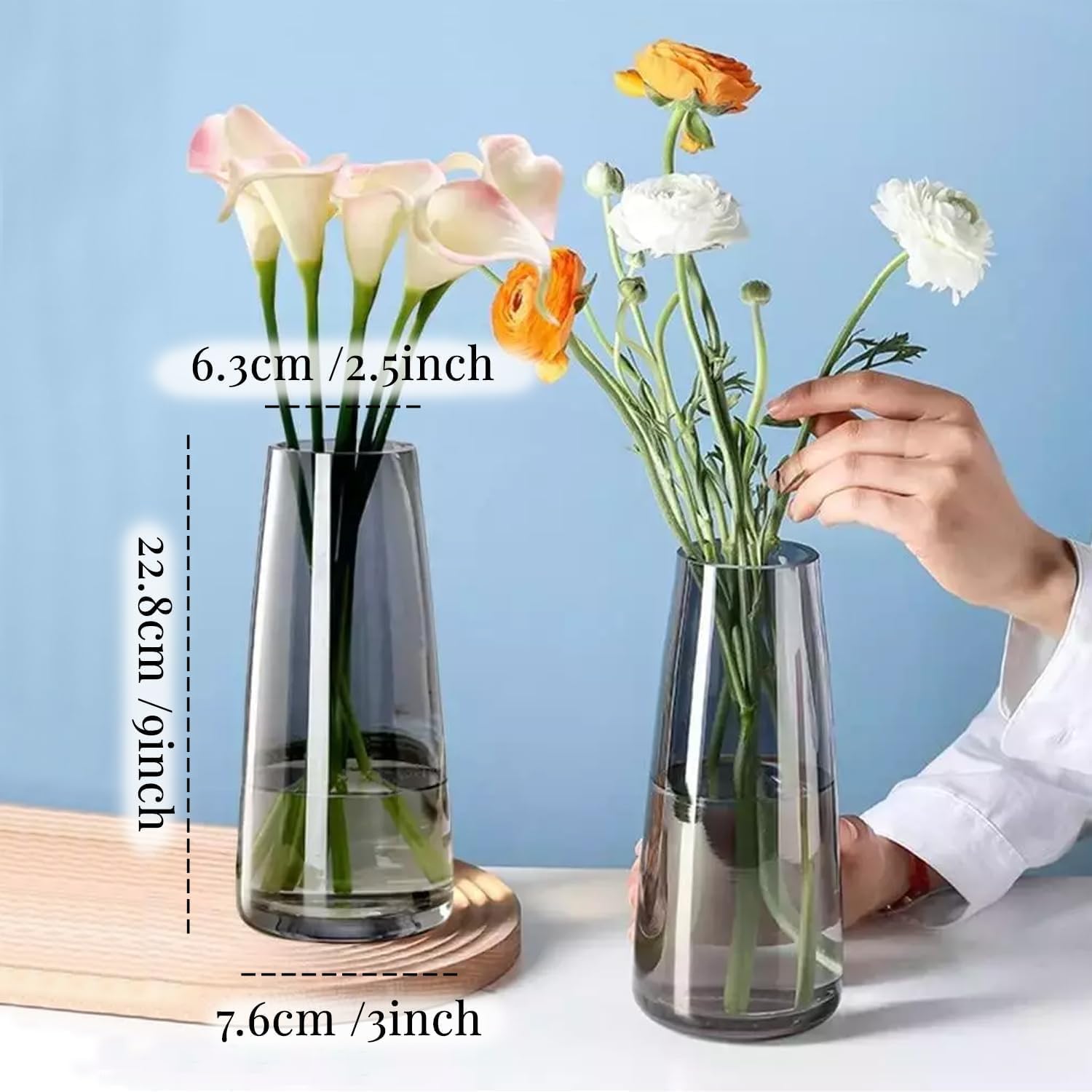 TIED RIBBONS Set of 2 Glass Flower Vase Pot Decorative Home Décor Living Room Water Plants Dining Table Decoration Bedroom Hall House Warming Gift